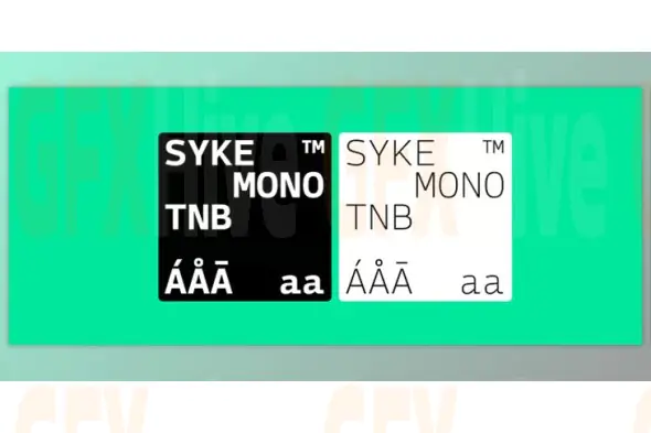 My Fonts - Syke Mono Font Family 10xOTF