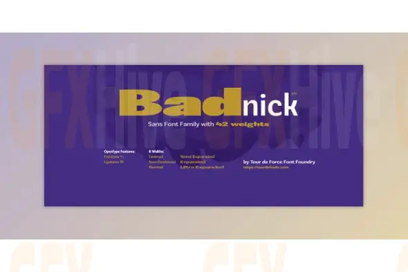 MyFonts - Badnick Font Family 42xOTF