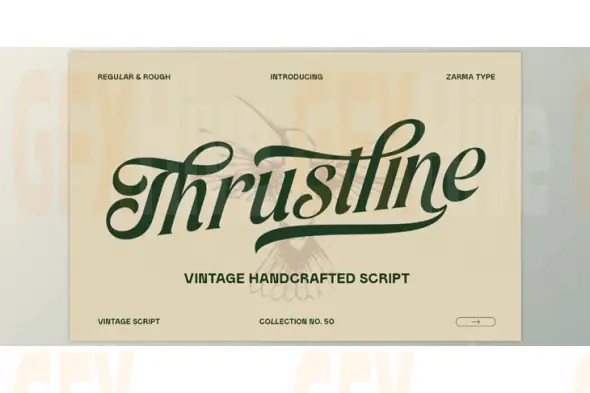 Thrustline - Vintage Script Font (Creative Market 291554704)