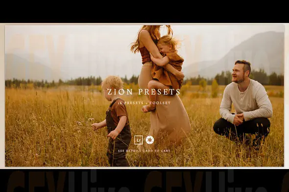 Meridian - Download Zion Presets
