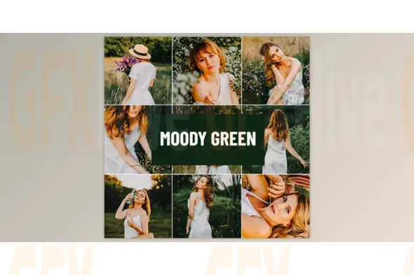 Psd Stack - Moody Green Lightroom Preset