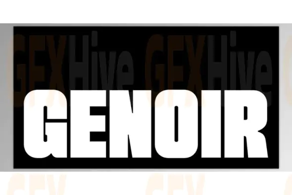 Genoir Bold Display Font Family (Creative Market 291869583)