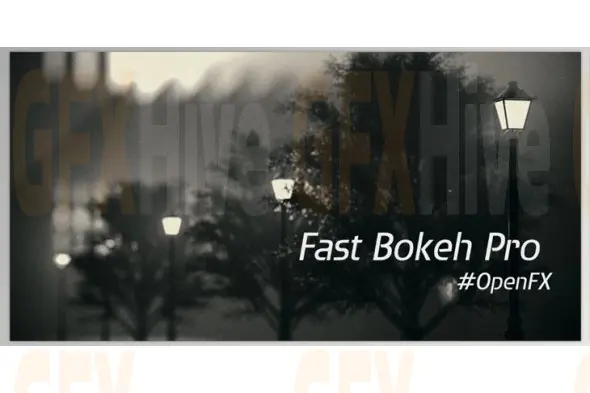 Rowbyte - Fast Bokeh 2.0.9 OFX (Win)