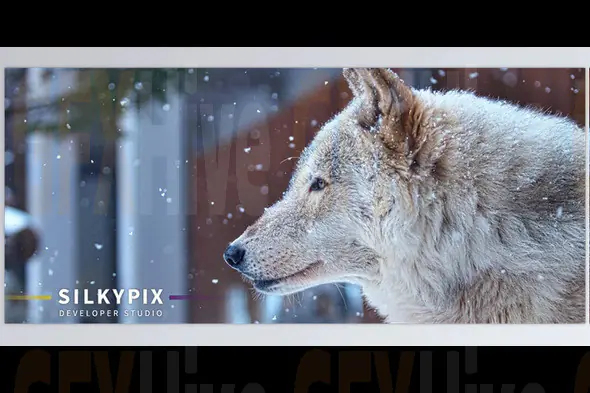 SilkyPix Developer Studio v12.0.4 (Win)