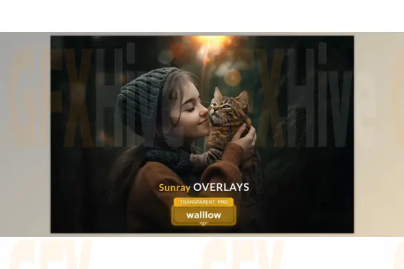 Sunrays transparent PNG overlays (Creative Market 286518731)