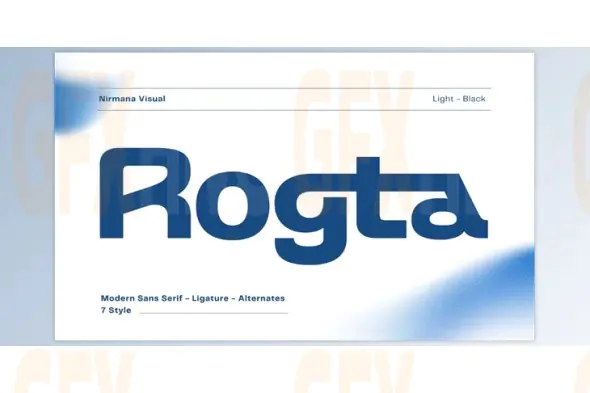 Rogta Modern Family Sans Serif (Creative Market 291718558)
