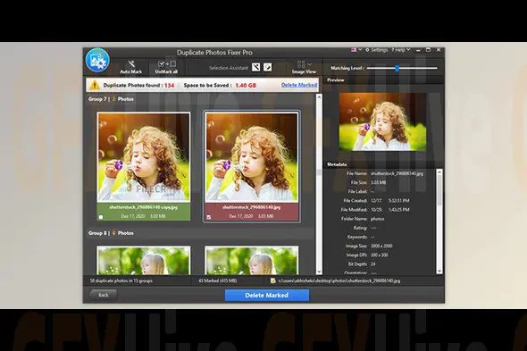 Duplicate Photos Fixer Pro 1.3.1086.1004 (Win)