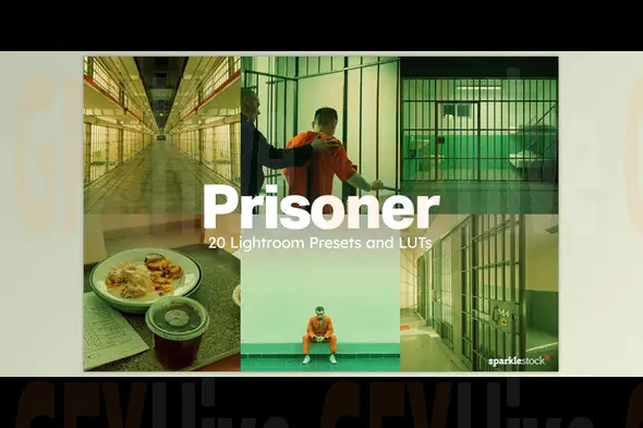 Artstation - 20 Prisoner LUTs & Lightroom Presets