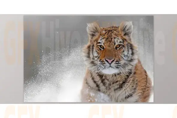 TopazLabs - Topaz Photo AI Pro 4.0.2 (Win)