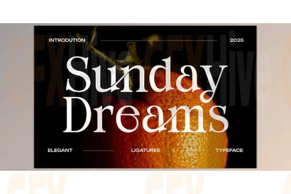 Sunday Dreams Serif Font (Creative Market 291593770)