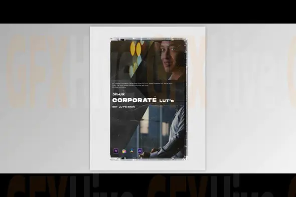 Blindusk - Corporate LUTs