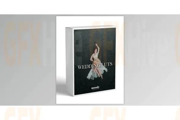 Moodypresets - Wedding Luts