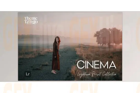 9 Cinematic Lightroom Presets (Creative Market 291169651)
