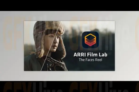 RE:VisionFX Effects - ARRI Film Lab v1.0.11 (Win)