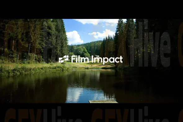 Film Impact Premium Video Effects 25.1.6 and Transitions v4.9.6 (Win)