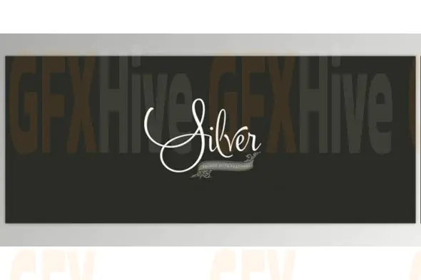 MyFonts - Silver Font Family 3xOTF