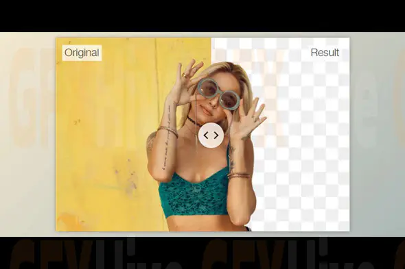 PhotoScissors 9.3.1 (Win)