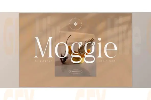 Moggie - Elegant Modern Serif Font (Creative Market 291681327)