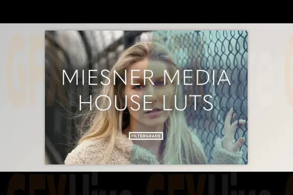 Filtergrade - Meisner Media House Luts