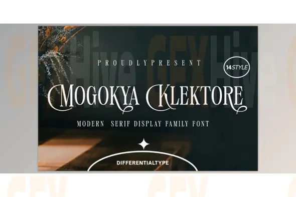 Mogokya Klektore Font (Creative Market 291819158)