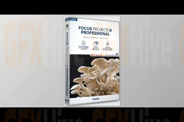 Franzis FOCUS 6 professional 6.13.04017 (Win)