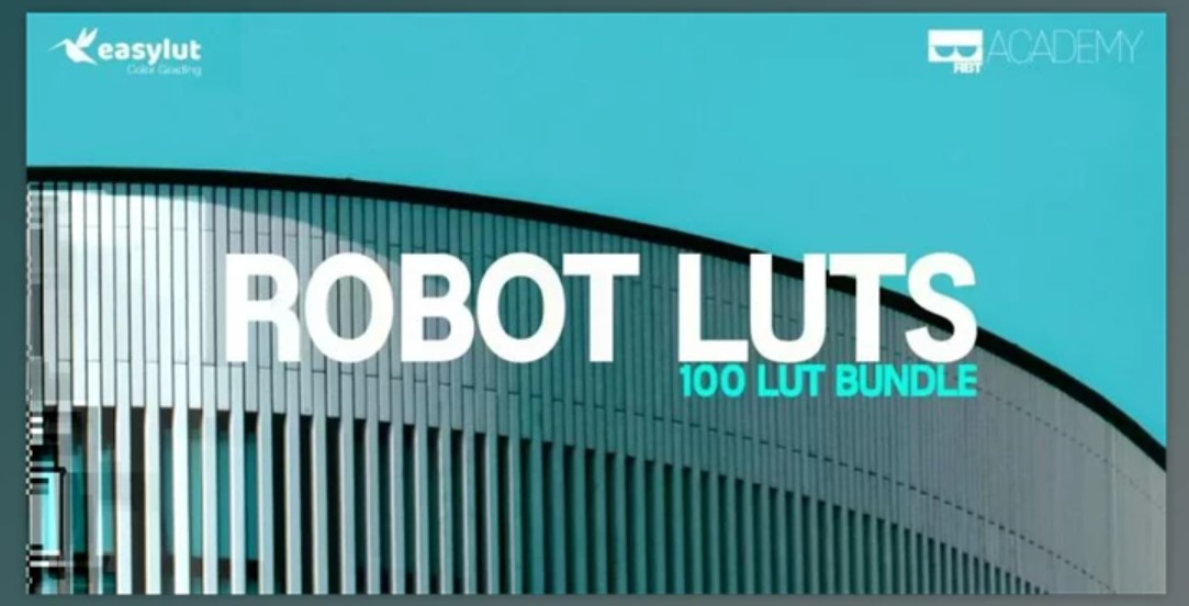 RoBot EasyLut 100 Bundle LUTs (Cube)