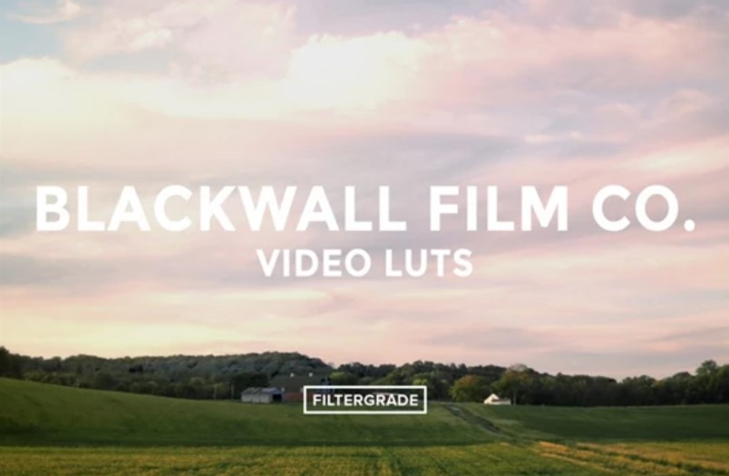 Blackwall Film Co. Video LUTs