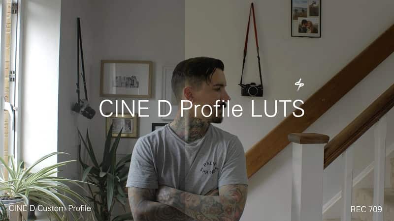 Daniel John Peters LUMIX CINE D LUTS on GFXVault