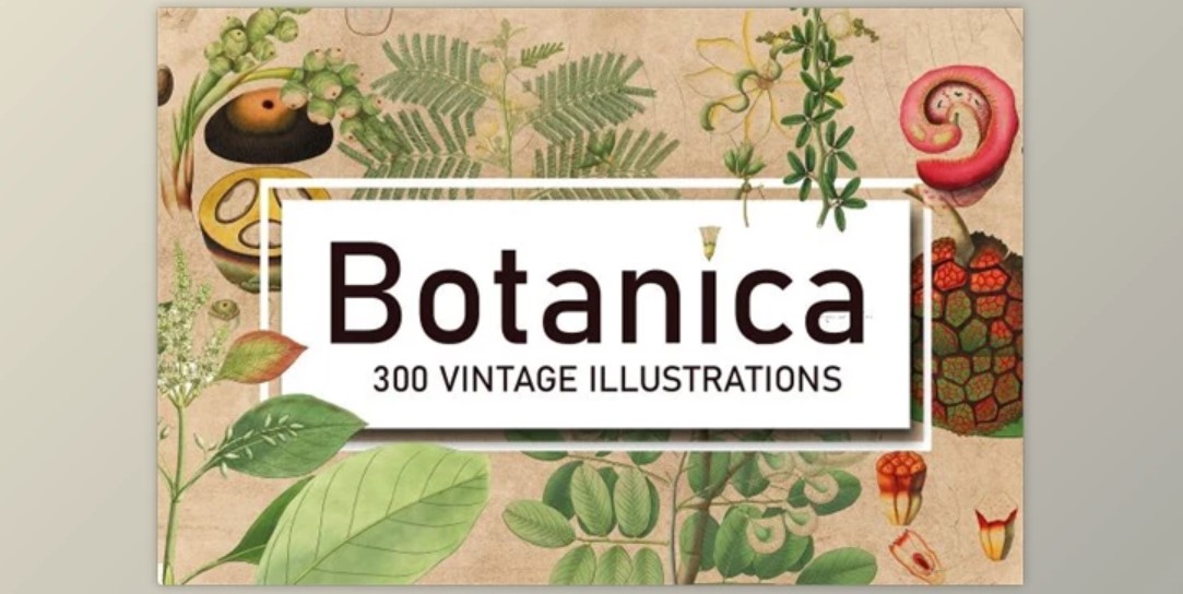 300 Vintage Botanical Illustrations