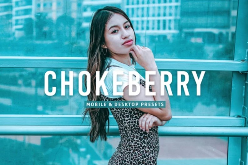 Chokeberry Pro Lightroom Presets for CreativeMarket