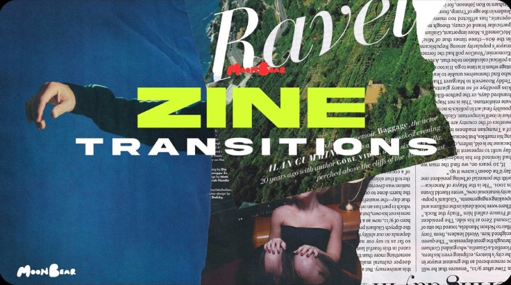 Moonbear – Zine Transition