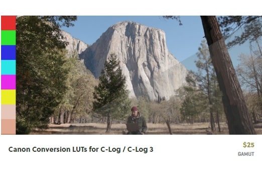 Gamut – Canon Conversion LUTs for C-Log / C-Log 3