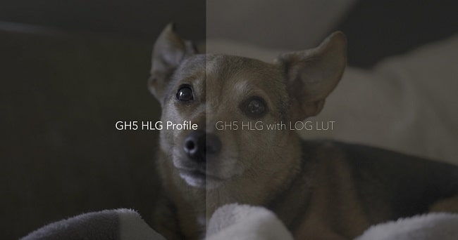 Daniel John Peters GH5 & GH5S HLG LUTs