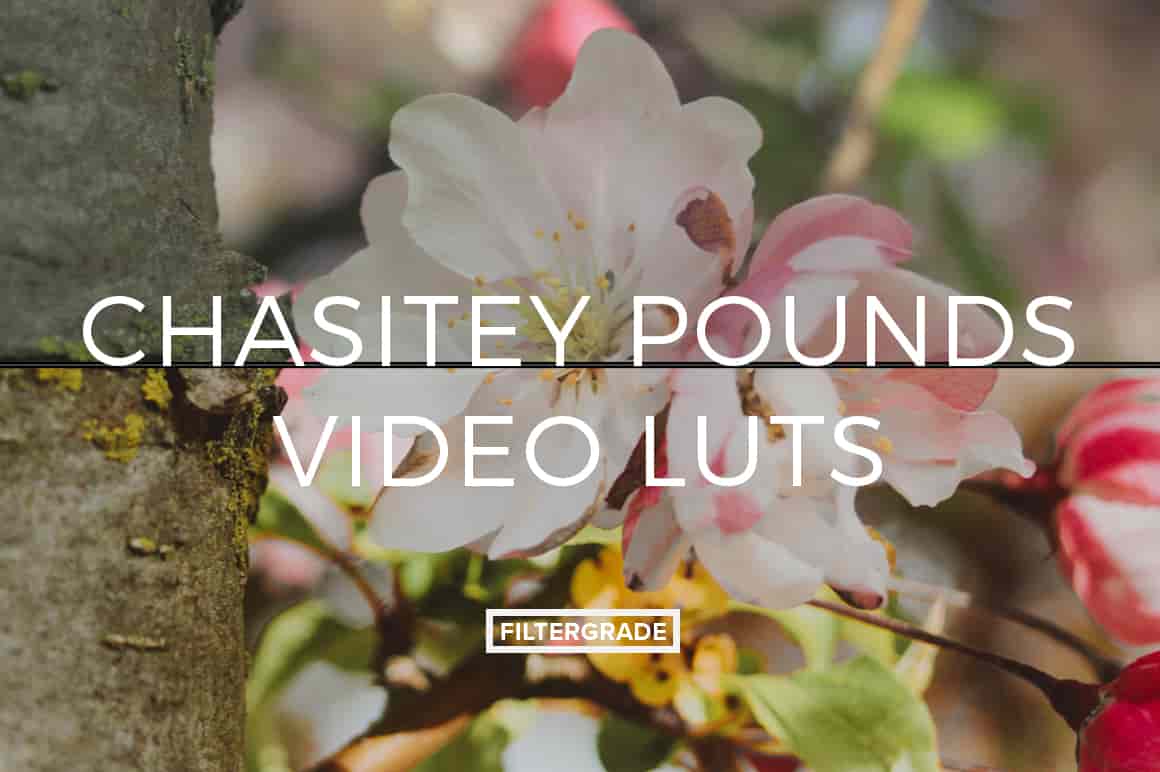 Chasitey Pounds Video LUTs – Teal & Orange, Red-Green, & Peach Styles