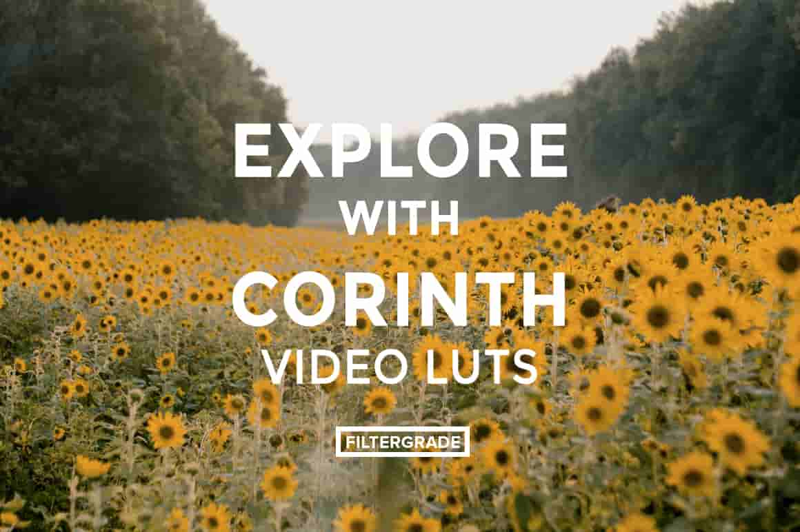 Explore with Corinth Suarez Video LUTs – Cinematic Styles for Travel & Fashion